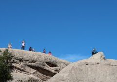 IMG_6382
